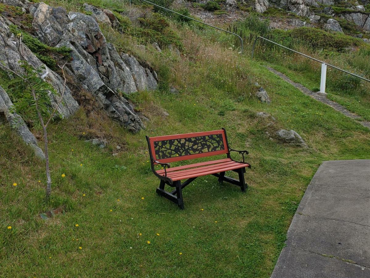 Hillside Cottage 1 Twillingate Exterior photo