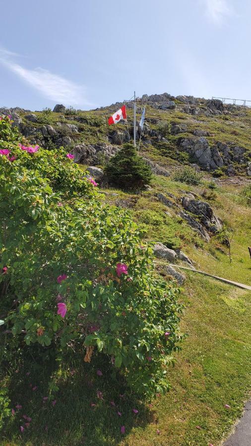 Hillside Cottage 1 Twillingate Exterior photo