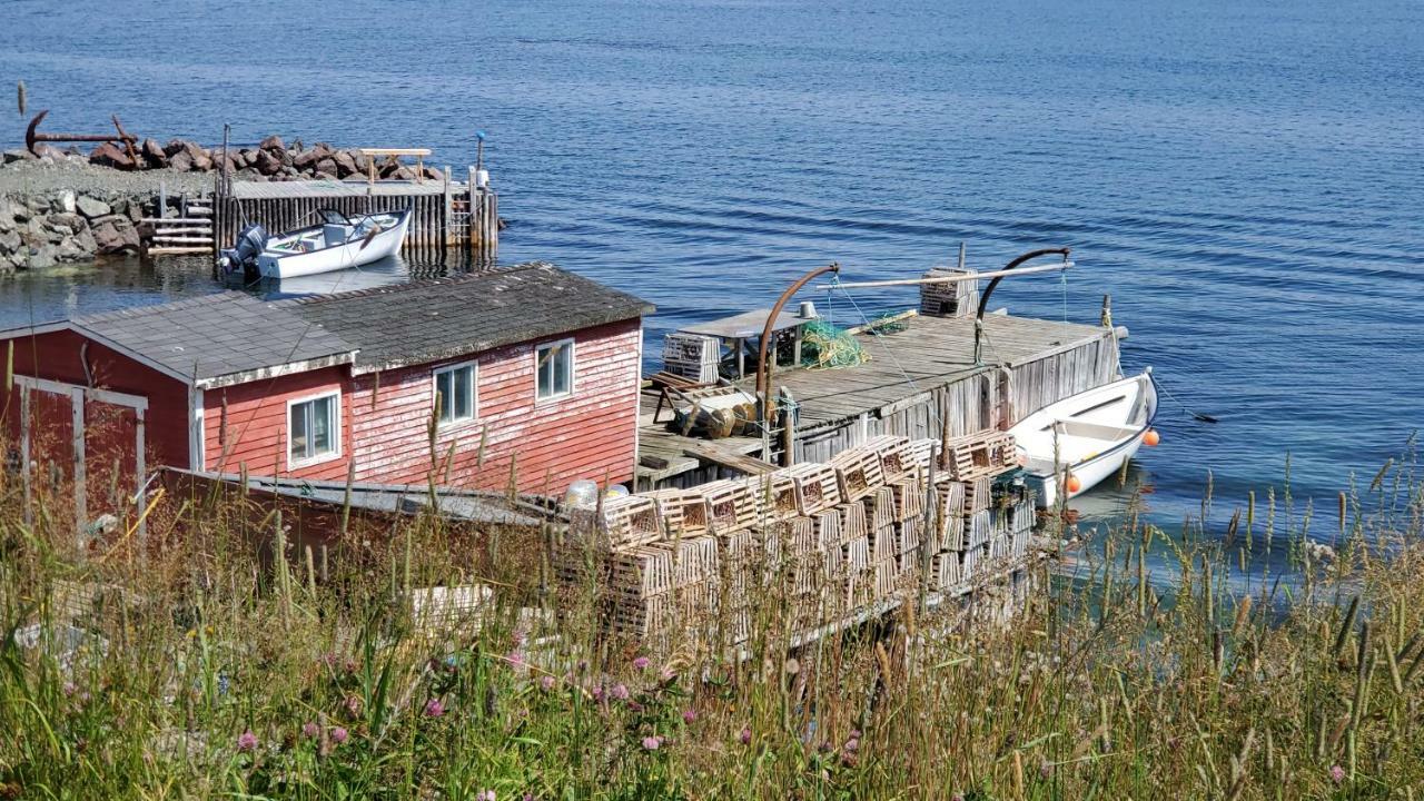 Hillside Cottage 1 Twillingate Exterior photo